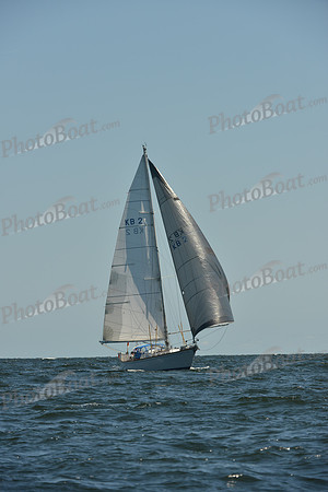 2015 Vineyard Race C 339
