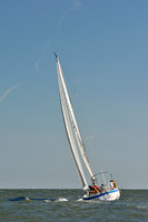 2014 Southern Bay Race Week D 371