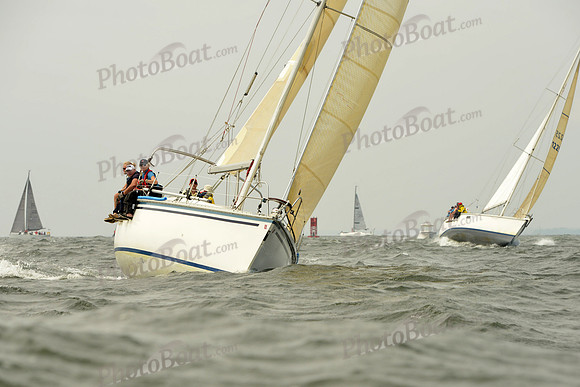 2015 Vineyard Race A 206