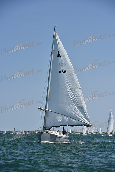 2019 Figawi_0450