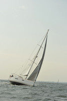 2015 Vineyard Race B 444