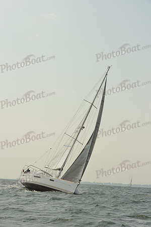 2015 Vineyard Race B 444