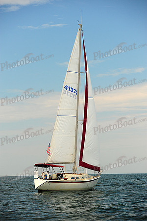 2014 Cape Charles Cup B 279