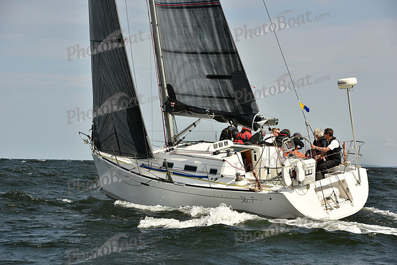 2018 Vineyard Race A_1902