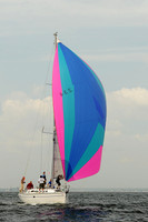 2013 Vineyard Race A 340