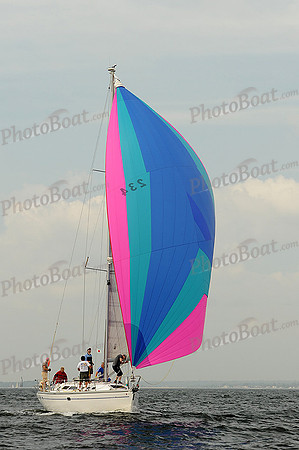 2013 Vineyard Race A 340