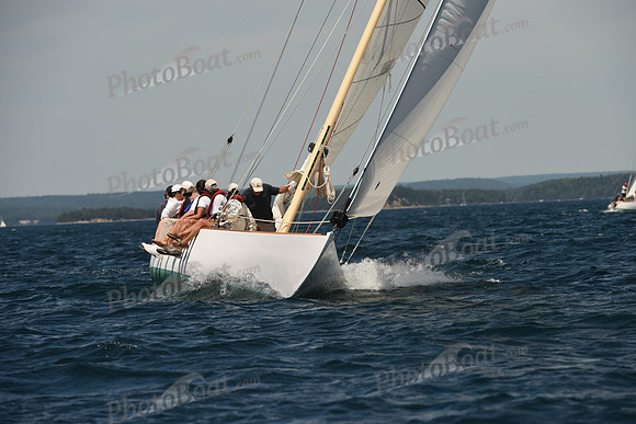 2016 Chester Race Week A_0775