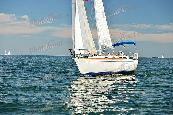 2015 Cape Charles Cup C 346