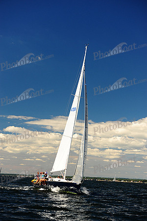 2014 Vineyard Race A 664