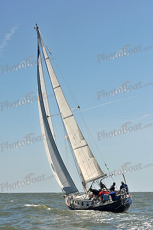 2014 Southern Bay Race Week D 435