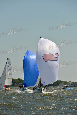 2016 Charleston Race Week F_0533
