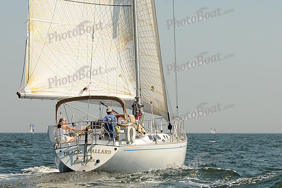2012 Vineyard Race A 414