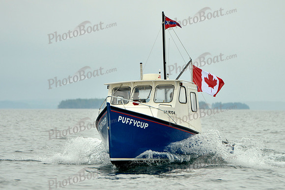 2016 Chester Race Week E_0222