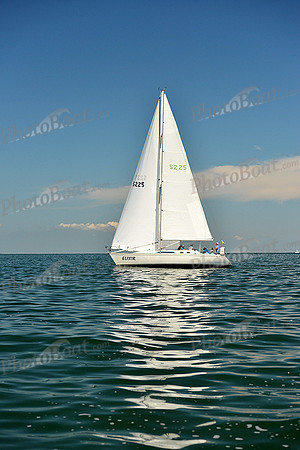 2015 Cape Charles Cup C 530
