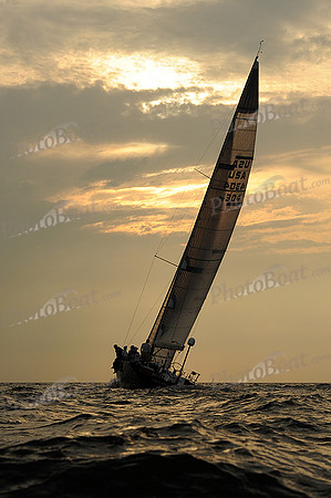 2013 Vineyard Race B 958