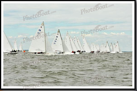 proof_2010_EScows_A 590