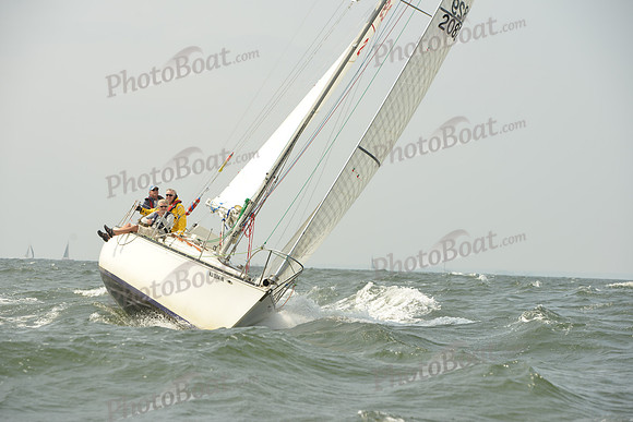 2015 Vineyard Race A 385