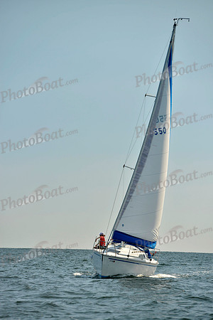 2017 Stamford Denmark Race_0167