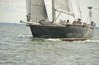 2016 Vineyard Race A_1544