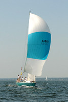2012 Vineyard Race A 658