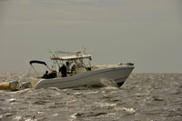 2015 F18 Americas A 226