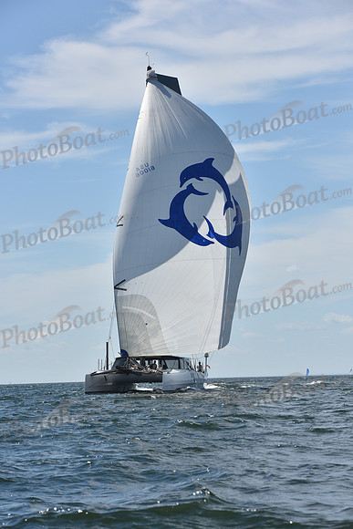 2020 Vineyard Race A_1727