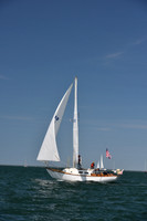 2019 Figawi_0038