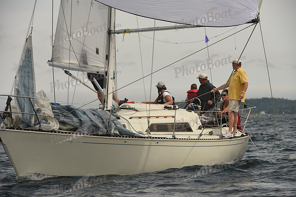 2016 Chester Race Week C_1672