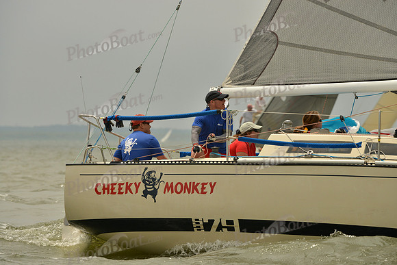 2016 Southern Bay Race Week A_1065