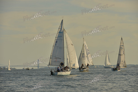 2016 NY Architects Regatta_1055