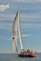 2016 Vineyard Race A_0340