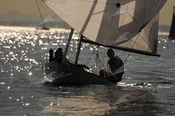 2011 HPDO A 1848