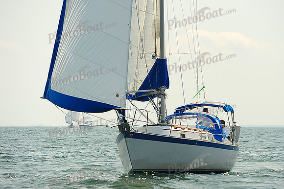 2014 Cape Charles Cup A 577