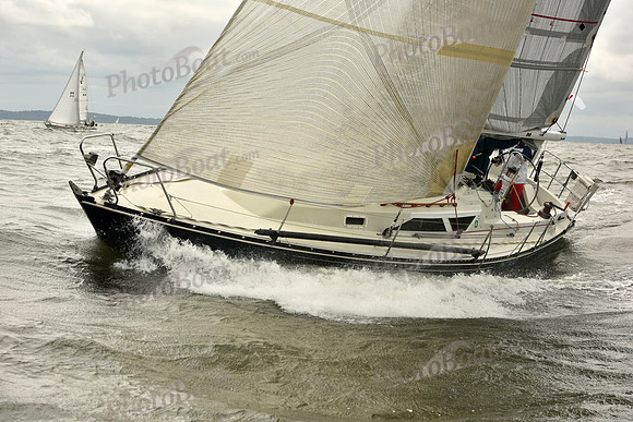 2018 Vineyard Race A_0305