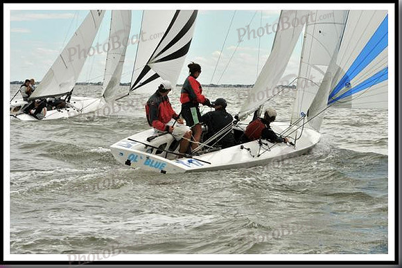 proof_2010_EScows_A 720