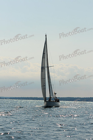 2011 Vineyard Race A 1500