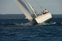 2016 Chester Race Week A_0453