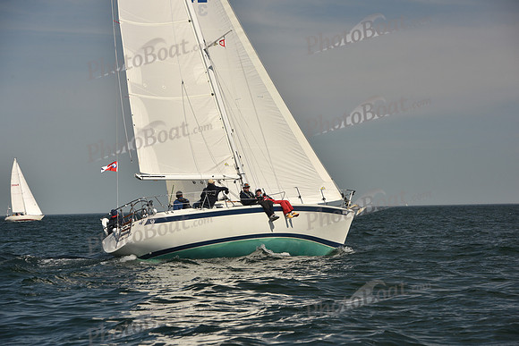 2024 Figawi 2446