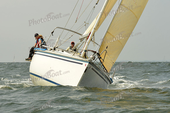 2015 Vineyard Race A 329