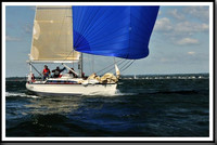 proof_2010_Vineyard_Race_0521