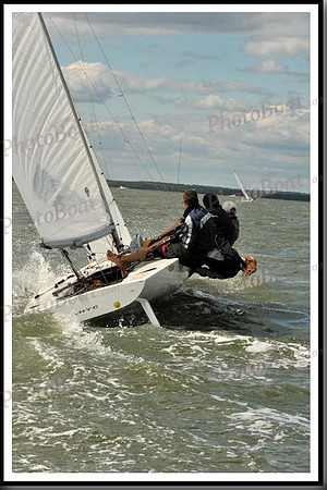 proof_2010_EScows_B 804