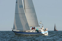 2011 Vineyard Race A 904