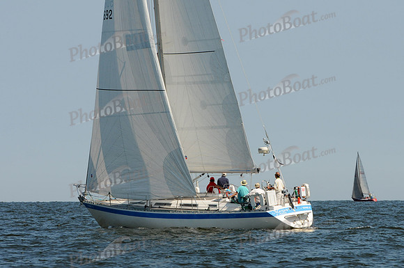 2011 Vineyard Race A 904