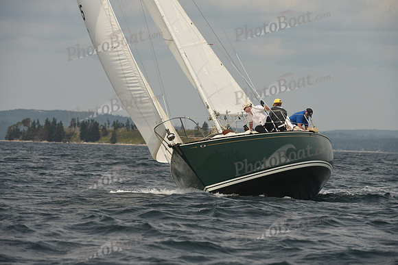 2016 Chester Race Week C_1264