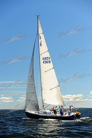 2014 Vineyard Race A 686