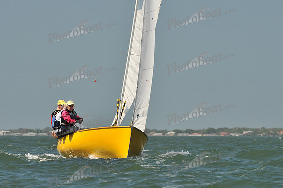 2012 Thistle Midwinters C 303