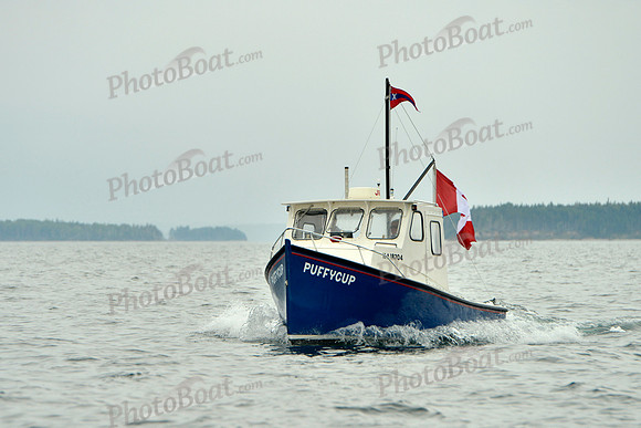 2016 Chester Race Week E_0220