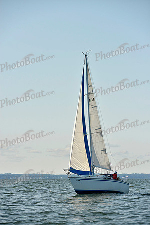 2017 Stamford Denmark Race_0115