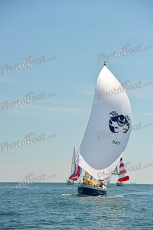 2015 Cape Charles Cup A 637