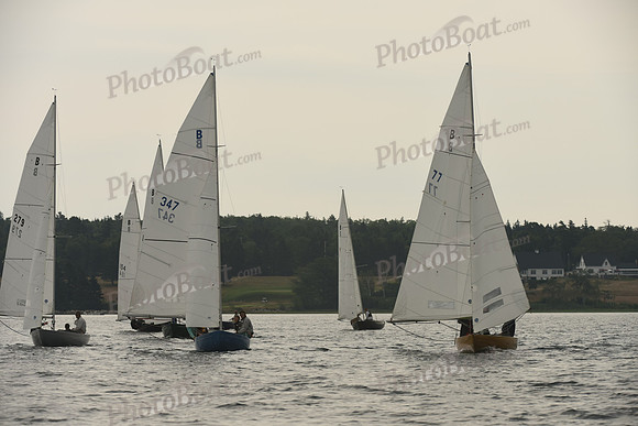 2016 Chester Race Week D_1012